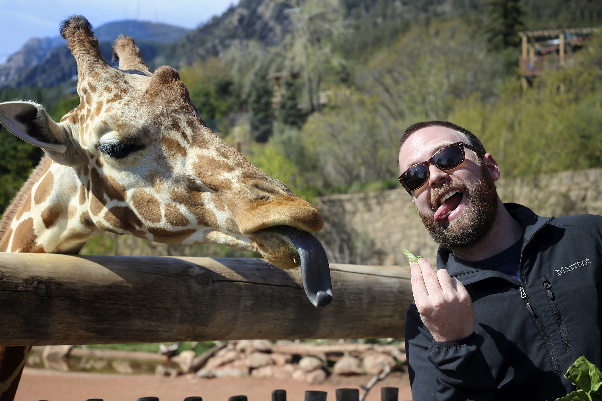 Cheyenne Mountain Zoo The Way We Did It   IMG 5110 