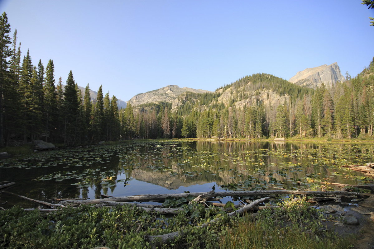 Rocky Mountain Honeymoon » The Way We Did It