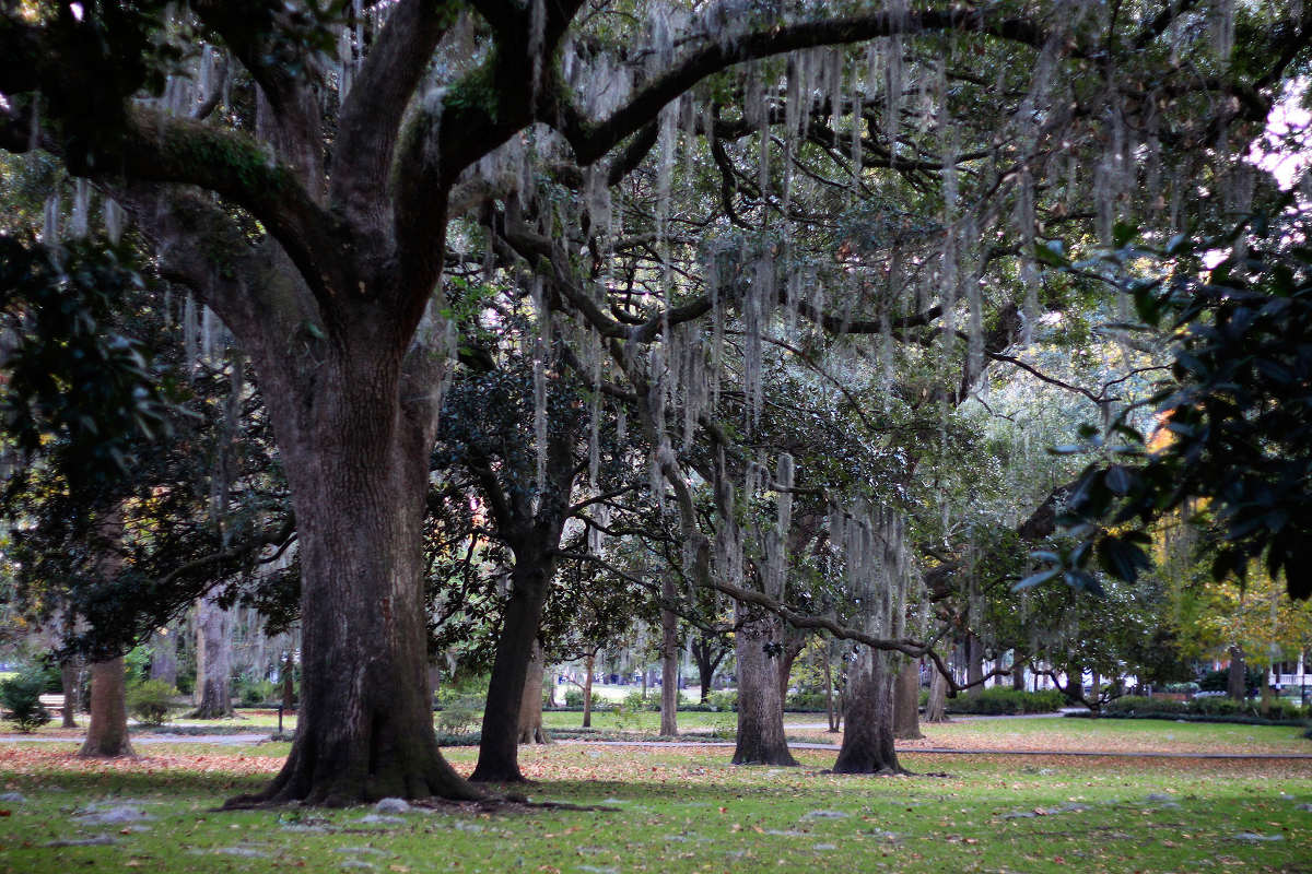 Thanksgiving in Savannah » The Way We Did It